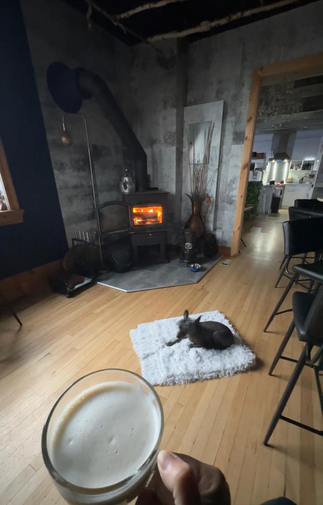 Auberge Et Bistro Namaste Lachute Eksteriør bilde
